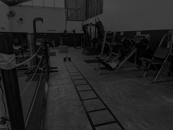 In the photo, there is an MBS Fitness gym with all the equipment, such as a bench press, leg press, rigs, plyometric box, boxing ring, and leg extension. 