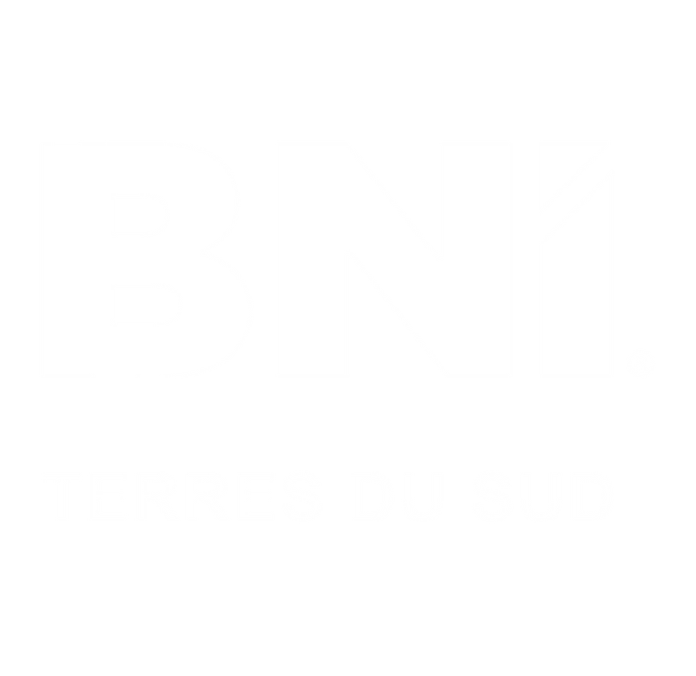 Logo-BNI-terres-du-sud-07.png