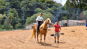 Aulas de Equitação Curitiba