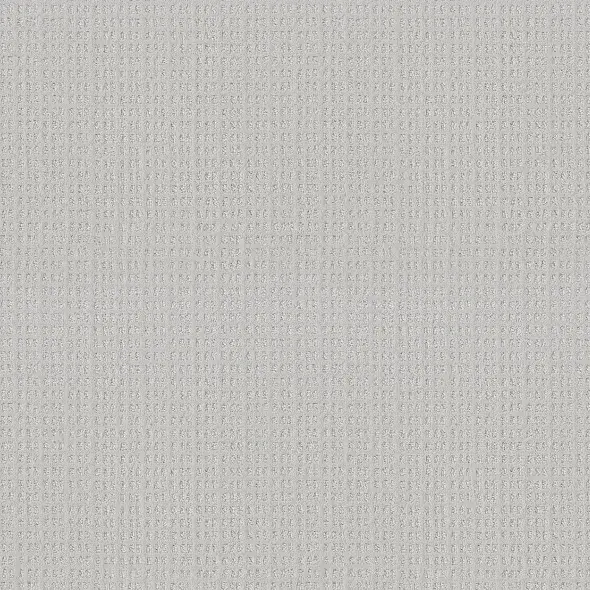Thumbnail: Essential Now - Carpet