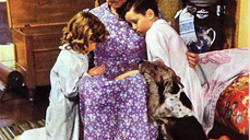 The Grandmothers
