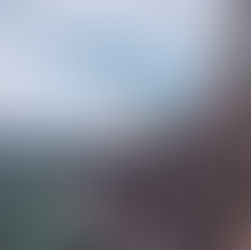 Getting to the Root of the Issue