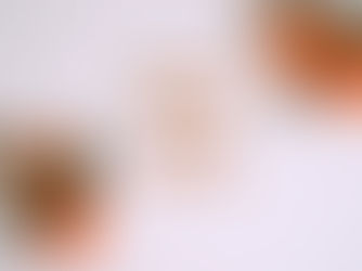 Creating a Healthy Plan For the New Year