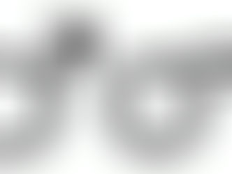 Libido, Drive & Circulation: A Modern Male’s Blueprint