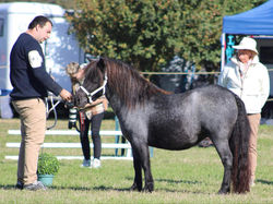 09d2badd-003a-45d8-bb25-b1f93d69247d