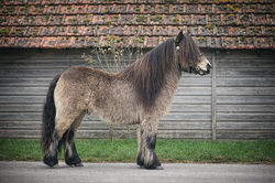 approbation Etalon février 2026