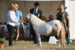 536287201_10231436694449508_4915682477451585295_n