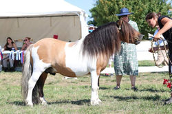 546525129_10231665292884326_4117955732840652662_n_edited