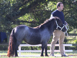 86dadbd8-7da1-4376-91b8-563ad927bd64