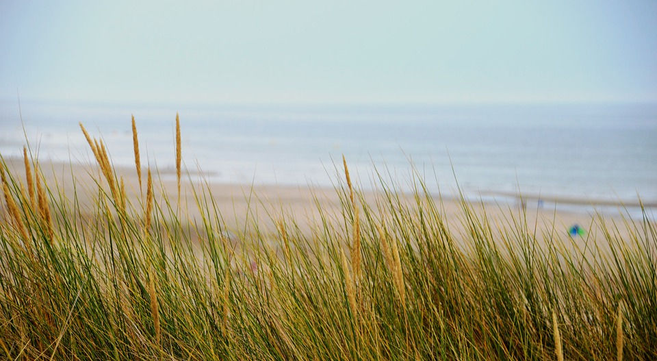 plage.jpg
