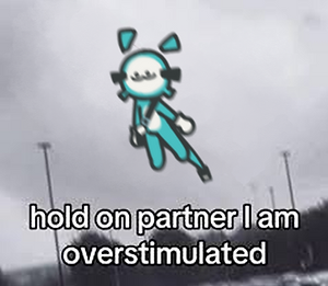 hold on partner.png