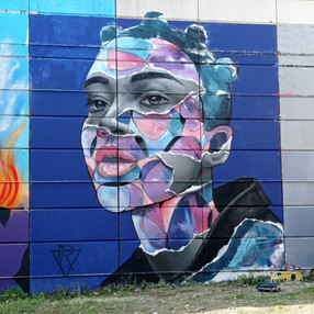 fresque de 8m x 6m au spot 13