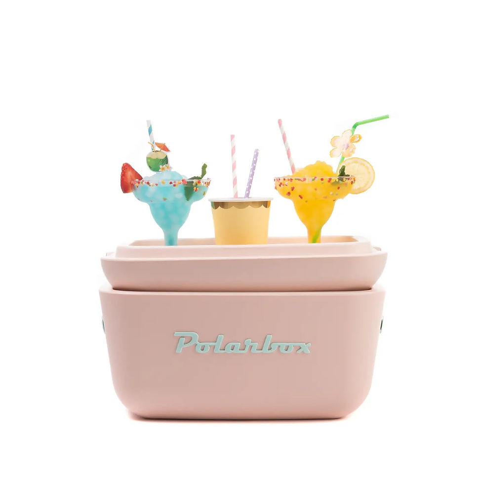 Miniature : Glacière POLARBOX - 20L