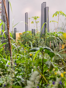 Jardín Naturalista, Design House 2024
