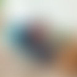 Costly Renting Mistakes to Avoid in Downtown Calgary