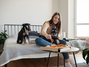 pet friendly rental