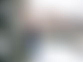 property maintenance