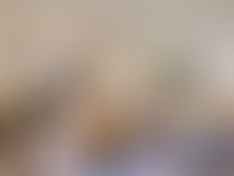 https://www.capitalyeg.ca/post/living-pet-friendly-edmonton-apartment-through-the-seasons