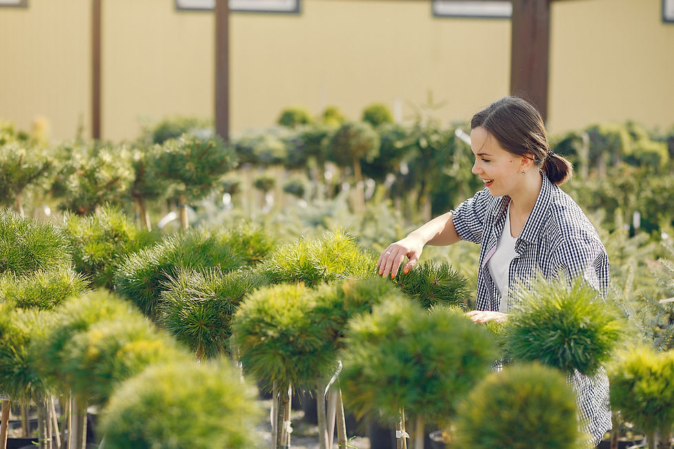 vegetation management