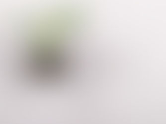 winter fertilization