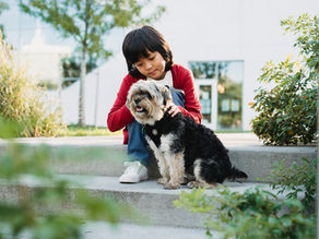 Living in a High-Rise with a Dog in Calgary