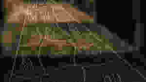Crypt