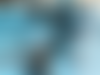 Dinâmica com Barbatanas