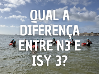 Qual a diferença entre N3 e ISY 3?