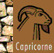 capricorne.gif