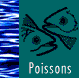 poissons.gif