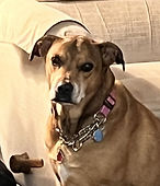 Lulu