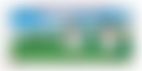 OUVERTURE DU SITE !!!!!!!