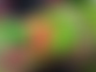 ARE NITRATES GOOD FOR ATHLETES AND FITNESS ENTHUSIASTS?