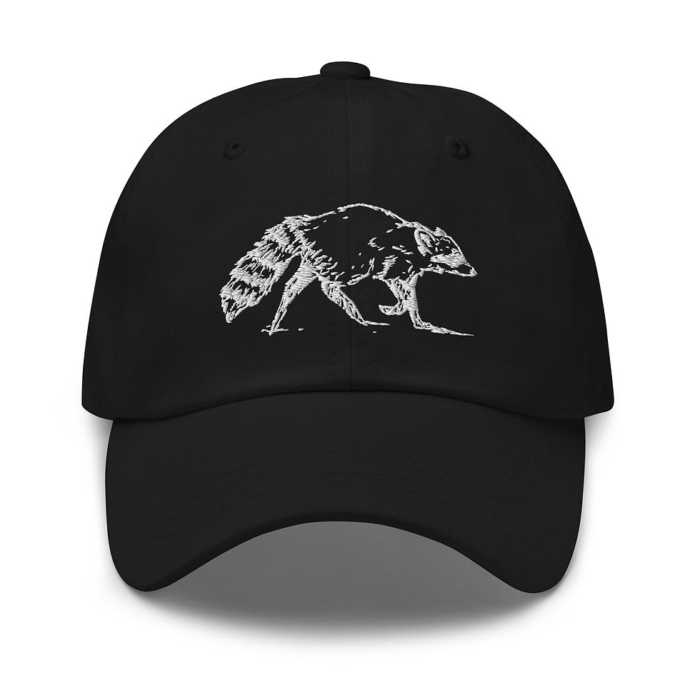 Thumbnail: Embroidered Trash Panda Baseball Hat