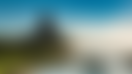 Descubra o melhor de Fernando de Noronha