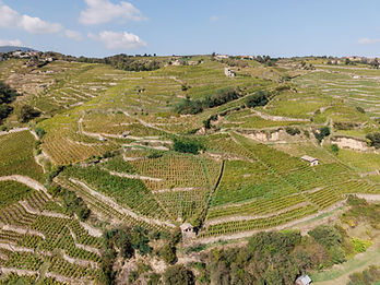 GITES_CONDRIEU-232-min.jpg