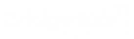 Bridgedale-Logo-White-1500-PNG.png
