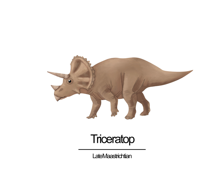 Dinos horns (1)