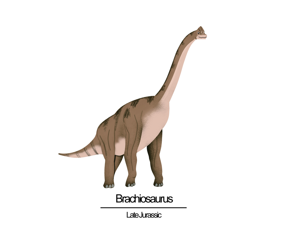 Dinos long neck (1)