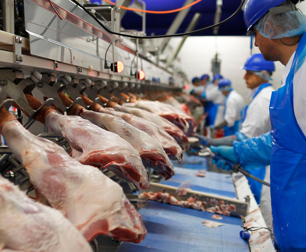 SPECIALISTS for the food industry