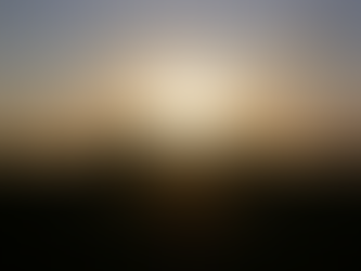 Sunlight and Storytelling: The June Newsletter