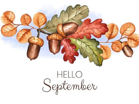 Where the Mist Begins — The September Newsletter