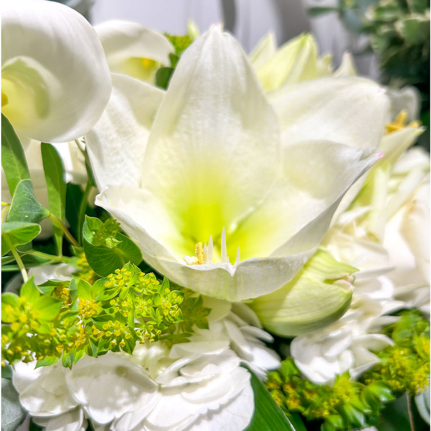 Bouquet élégance, rond fleurs blanches et feuillage vert, style chic et naturel