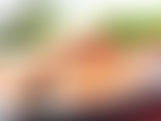 LANGOUSTE AU COMBAVA
AU THERMOMIX