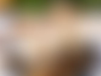 Lait de poule au Thermomix