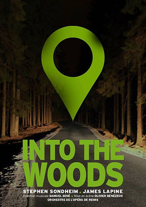 Into the woods poster