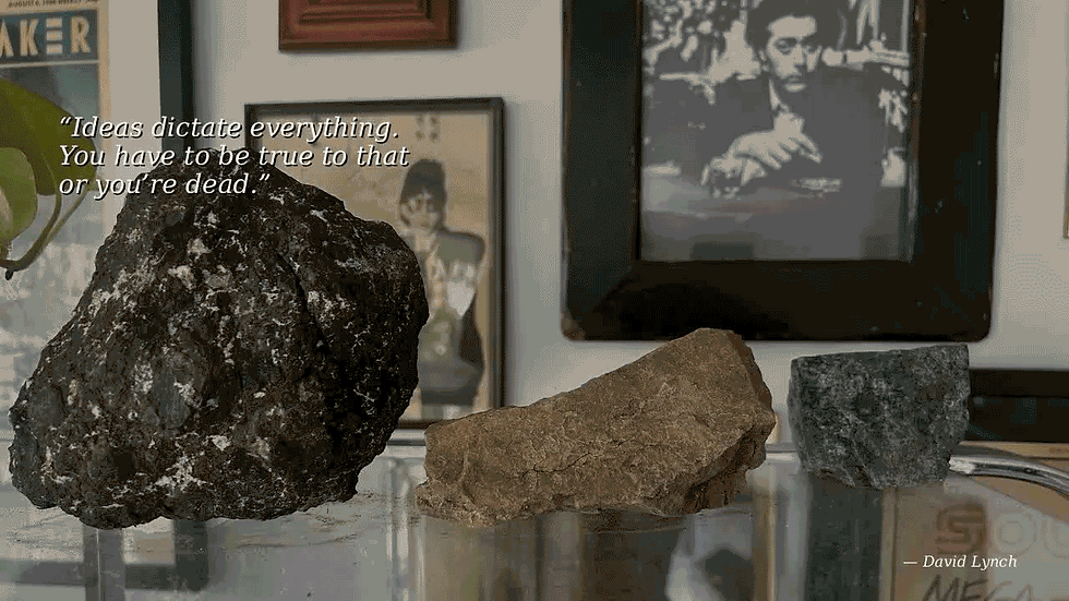 SHI_Lynch_Microfilm_FINAL_LOCKED_h264.gif