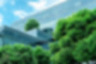 Eco-friendly building in the modern city. Sustainable glass office building with trees for
