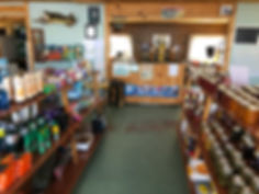 IMG_0966.jpeg