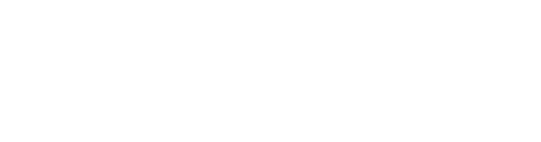 Blue Robot logo horizontal white.png